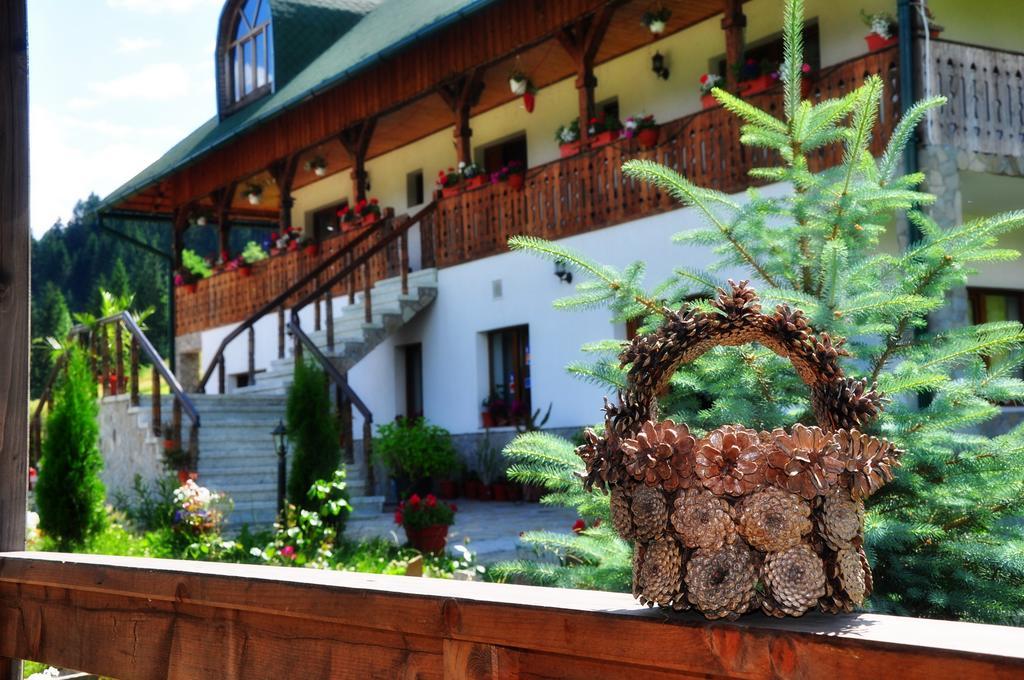 Conacul Domnitei Hotel Voroneț Eksteriør billede